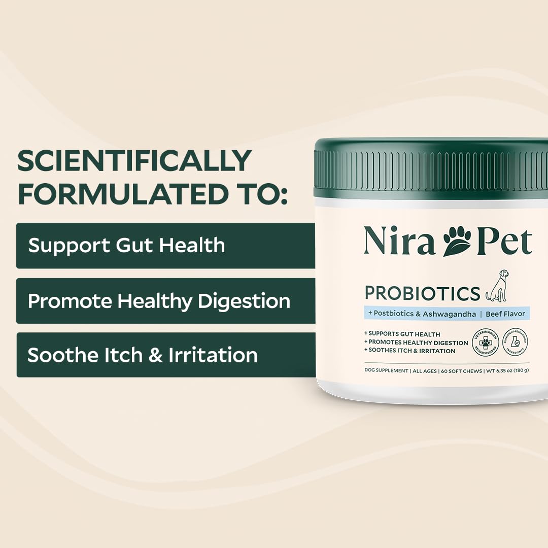Nira Pet Probiotics for Dogs – 60 Beef-Flavored Chews with Postbiotics, Colostrum, Ashwagandha & Lactobacillus – Supports Gut Health, Immunity, Diarrhea, Gas & Stress Nira Pet buy supplements canada