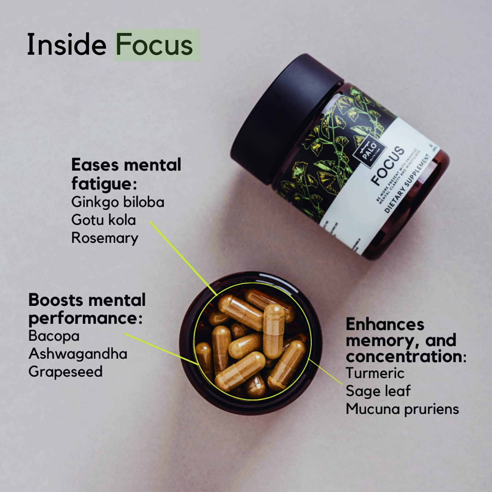 PALO Focus Brain Booster Natural Supplement Nootropic for Memory, Focus, Learning, Reall, Attention and Cognition - Ginkgo Biloba, Bacopa, Gotu Kola, Ashwagandha, Mucuna 60 Capsules PALO buy supplements canada