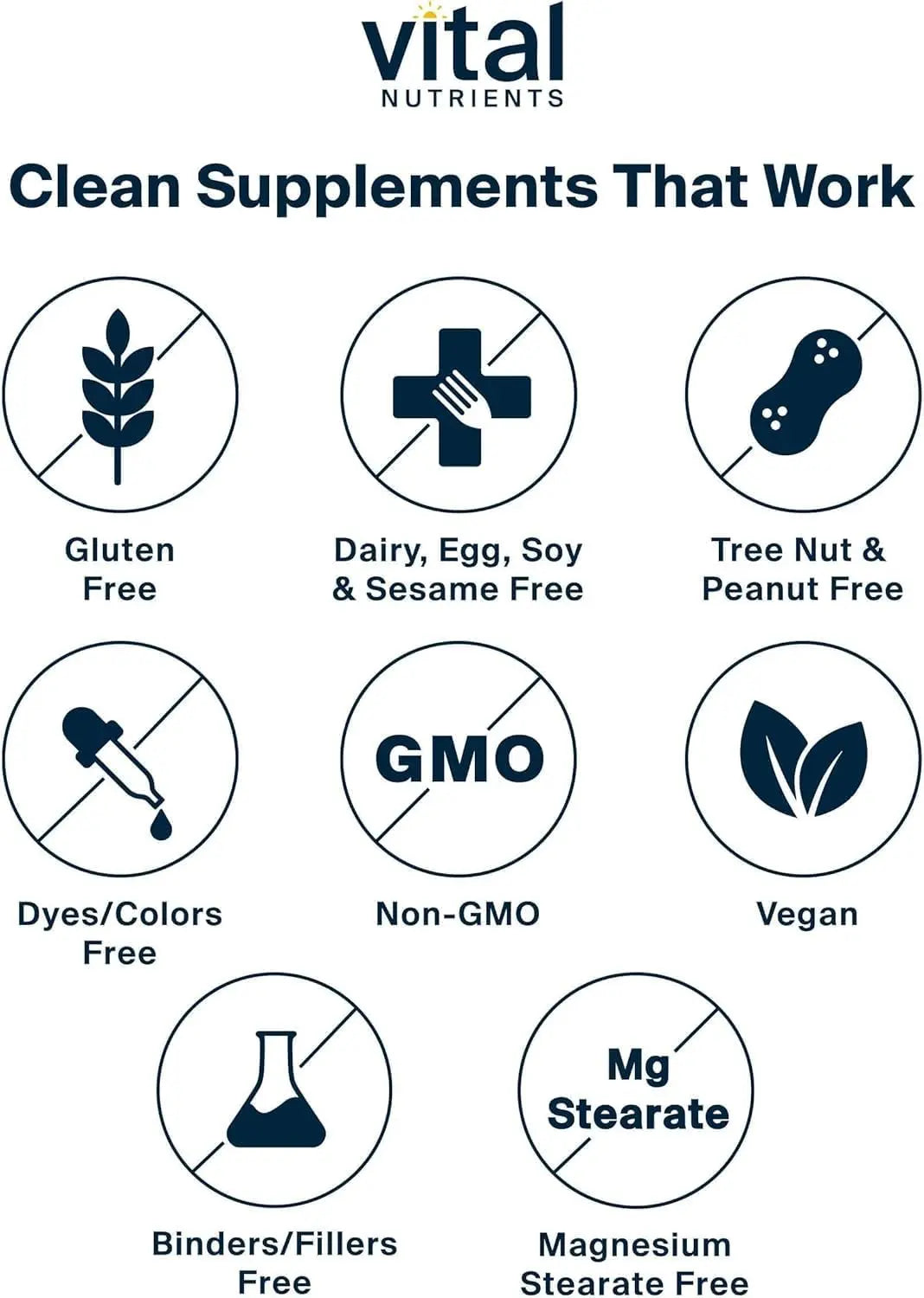 Vital Nutrients Once Daily Multivitamin | Vegan Multi for Women & Men | Allergen-Free | 19 Essential Vitamins + Antioxidants for Eye and Heart Health | Vital Nutrients buy supplements canada