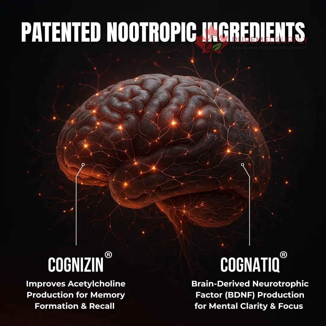 FOCUS + THINK Nootropic Brain Supplement Bundle - Energy, Memory & Focus Support - Caffeine + Caffeine-Free Cognitive Stack with Lion's Mane, Bacopa, Citicoline & L-Theanine - 2 Bottles (90 + 90 Capsu HUMBLEROOTS PERFORMANCE buy supplements canada
