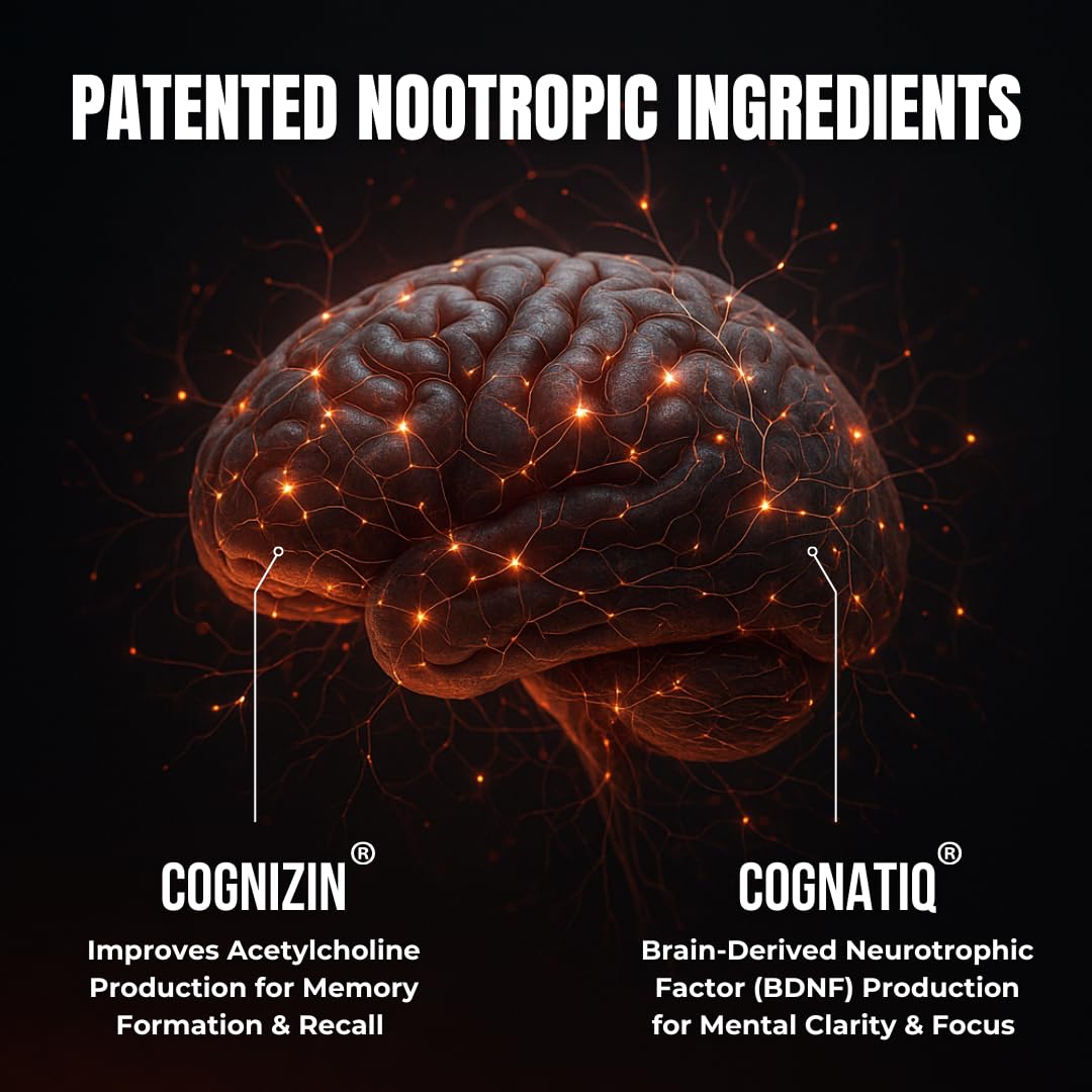 All-Natural Brain Supplement for Memory and Focus - Caffeine-Free Long-Term Cognitive Support - 10 Nootropic Ingredients Including Lion’s Mane, Bacopa, Turmeric, Ginkgo & Huperzine A - 90 Capsules HUMBLEROOTS PERFORMANCE buy supplements canada