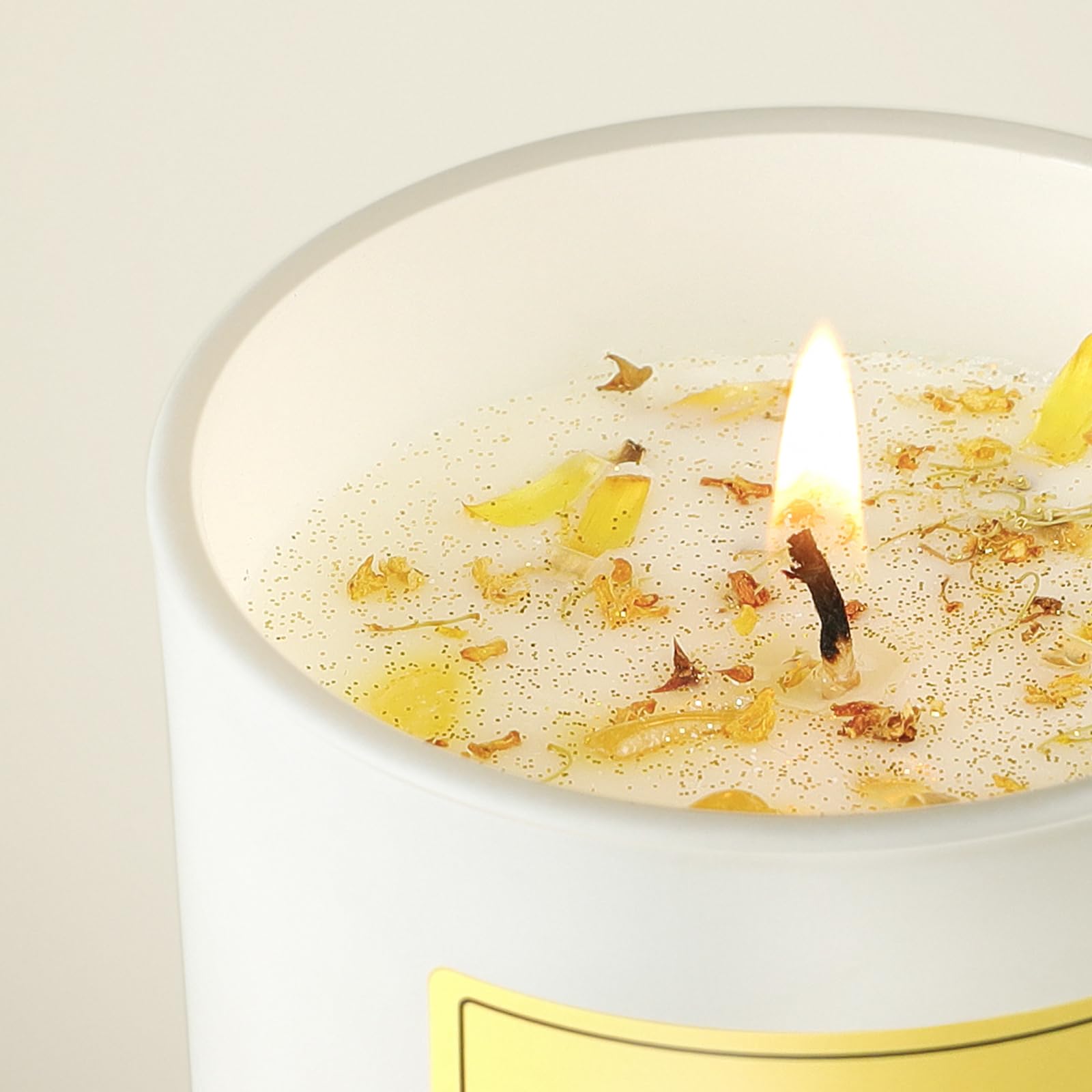Vanilla Soy Candles Gift for Women - Aromatherapy Candle with Crystals Inside, 10oz Natural Soy Wax Candles AOOVOO buy supplements canada