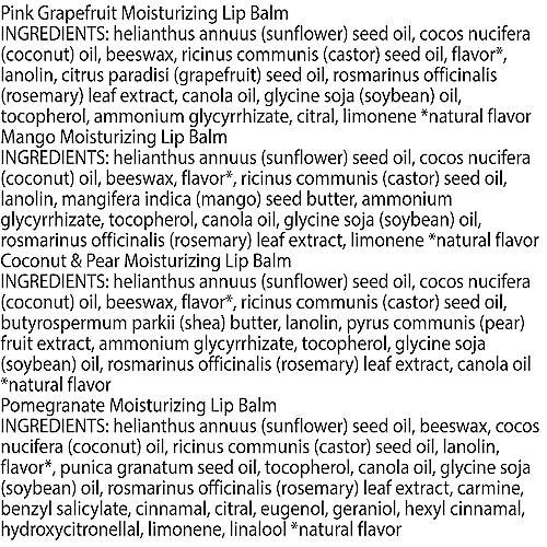 Burt's Bees 100% Natural Moisturizing Lip Balm (Superfruit) Burt's Bees buy supplements canada