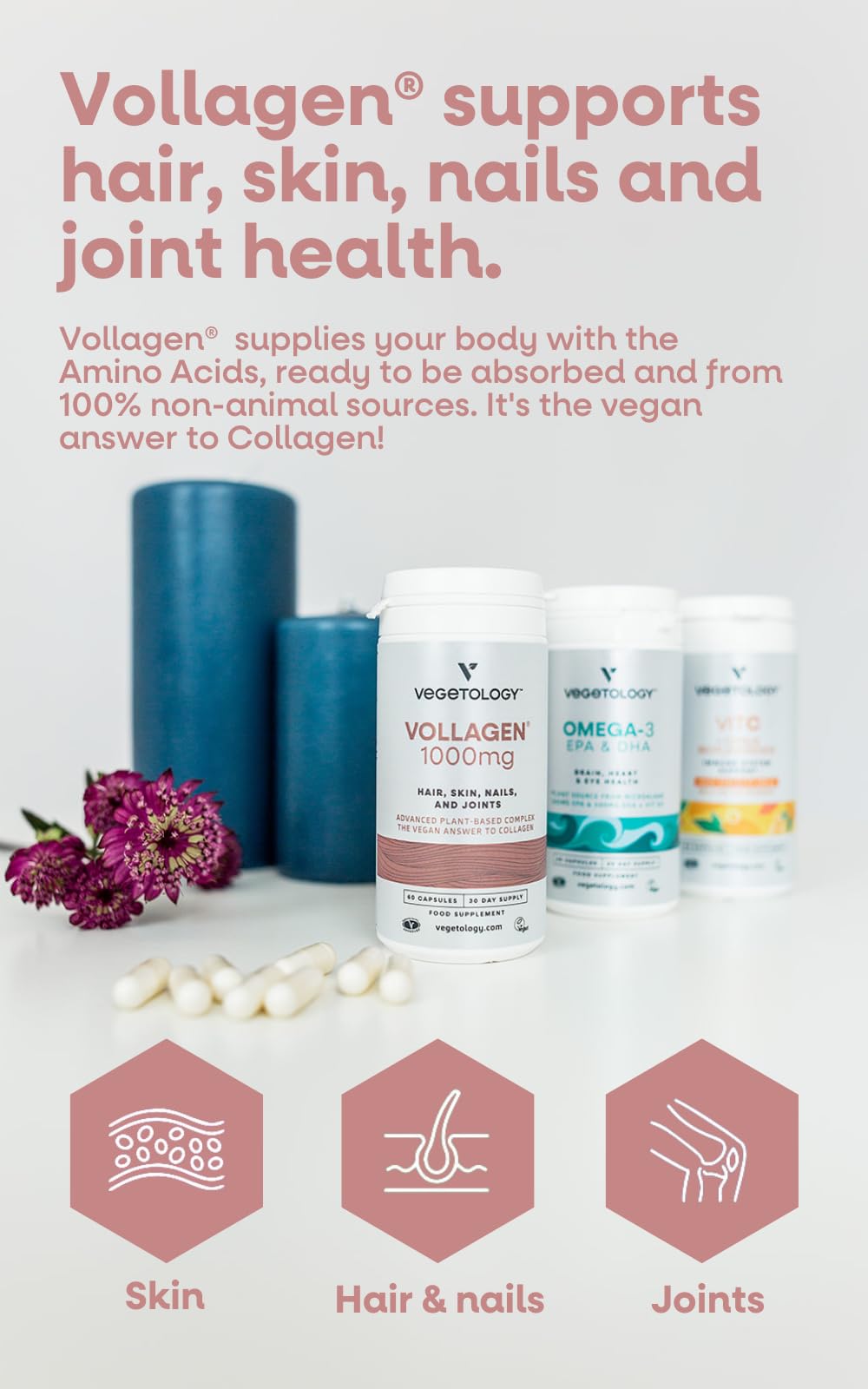 Vegetology Vollagen® Plant Based Complex – Plant Based Protein Alternative to Collagen VEGETOLOGY buy supplements canada