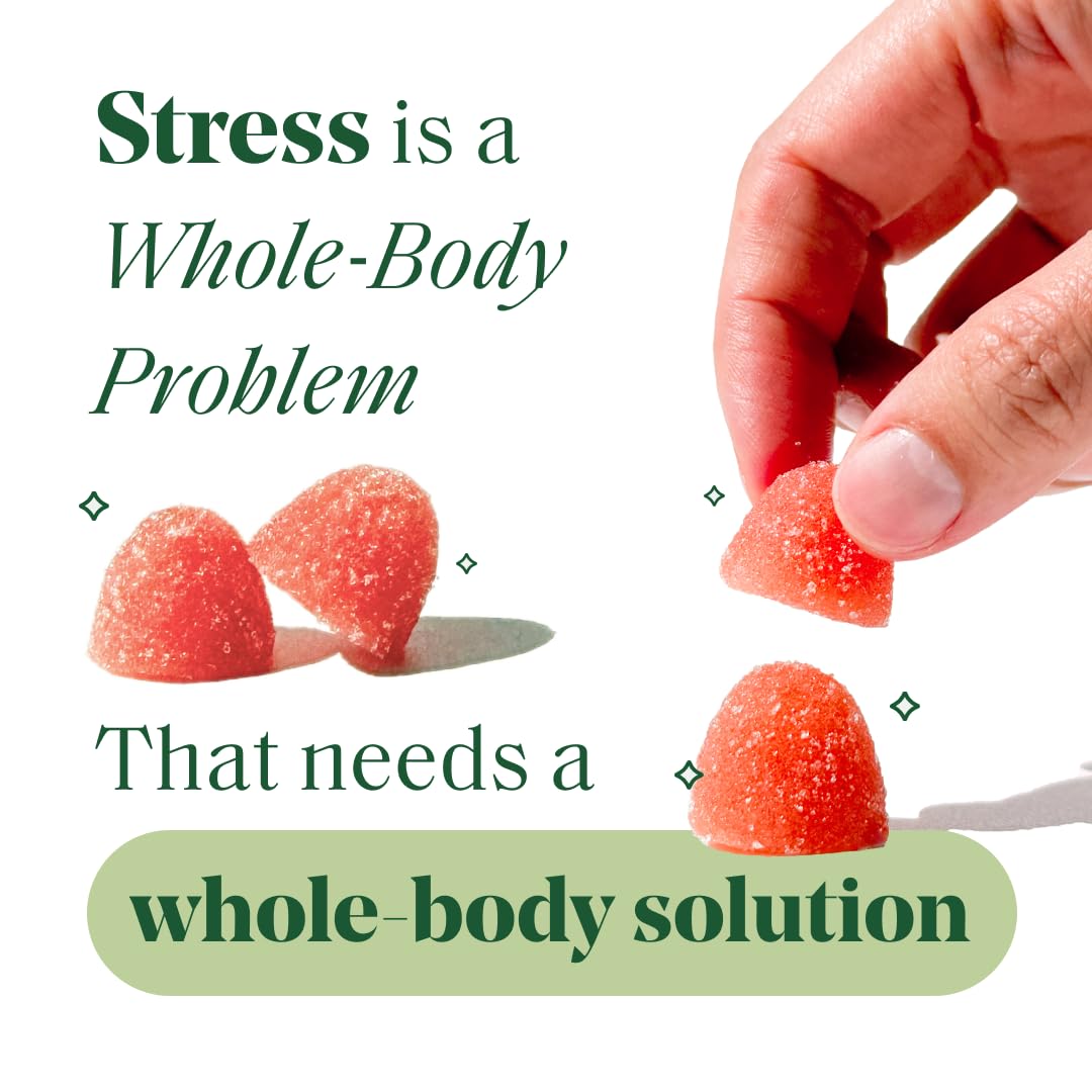 Semaine Stress Less Gummy with Cortisol Care™ 60 Count – Daily Support for Stress, Mood & Sleep Semaine buy supplements canada
