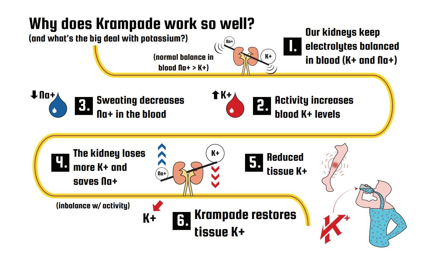 Krampade Original Lemon Lime 4K, 4000 mg Potassium Instant Cramp Relief Electrolyte Drink Powder | Designed for Athletes and Crampers | 19-Serving Resealable Pouch Krampade buy supplements canada