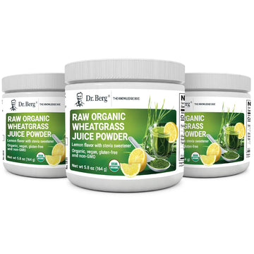 Dr. Berg's Raw Wheatgrass Juice Powder (60 Servings) - USDA Certified Organic Dr. Berg Nutritionals buy supplements canada