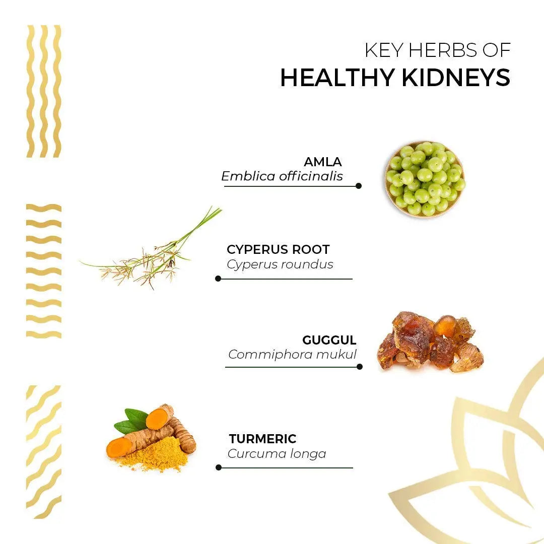 Kerala Ayurveda Healthy Kidney Herbal Tablets | Support Normal Kidney Function and Health | Kidney and Bladder Support | Urinary System Support - 90 Count Kerala Ayurveda buy supplements canada