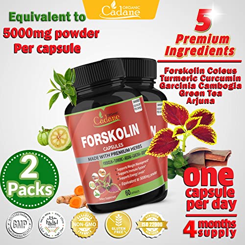 2 Packs Organic Forskolin Supplements Capsules 5000mg with Turmeric, Arjuna, Garcinia Cambogia Organic Cadane buy supplements canada