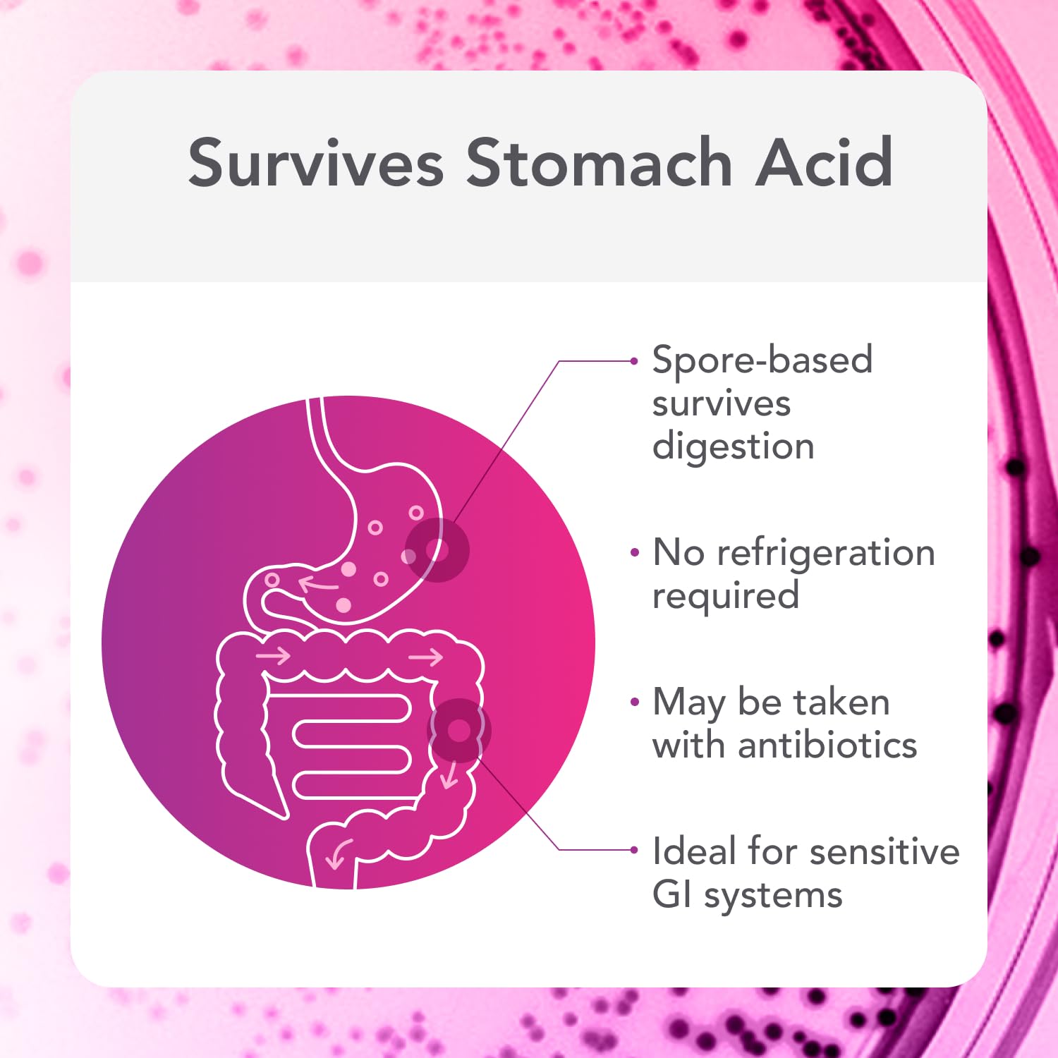 Biocidin Proflora 4R Spore Probiotic - Digestive Health Probiotics for Women & Men - Clinically Researched Bacillus Strains & Organic Aloe, Marshmallow Root for Gut Support (30 Vegan Capsules) Bio-Botanical Research buy supplements canada