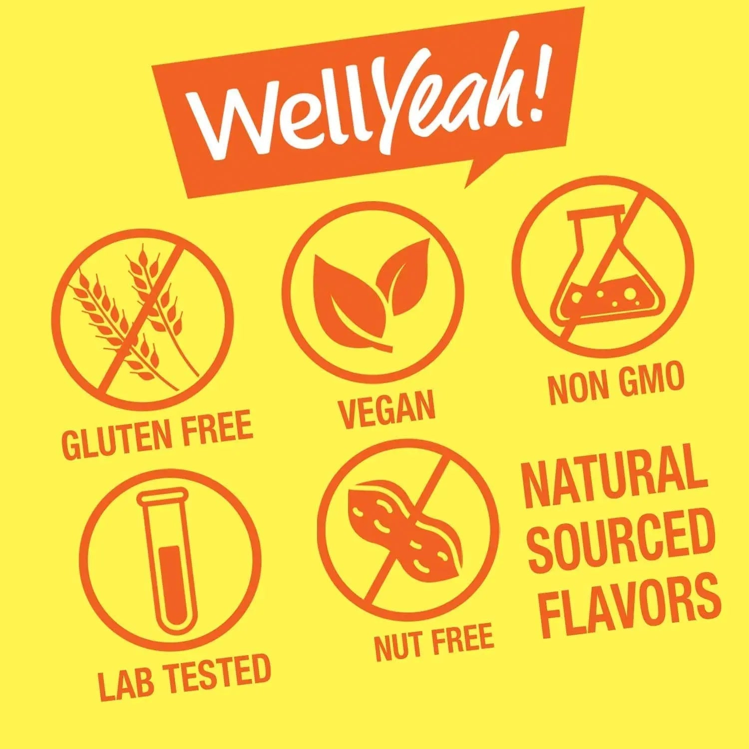 WellYeah Kids Multivitamin Gummies | Vitamin C, D3, E, A, B6, B12, Biotin, Zinc, Folic Acid, Iodine, and Niacin | Immune and Energy Support WellYeah buy supplements canada