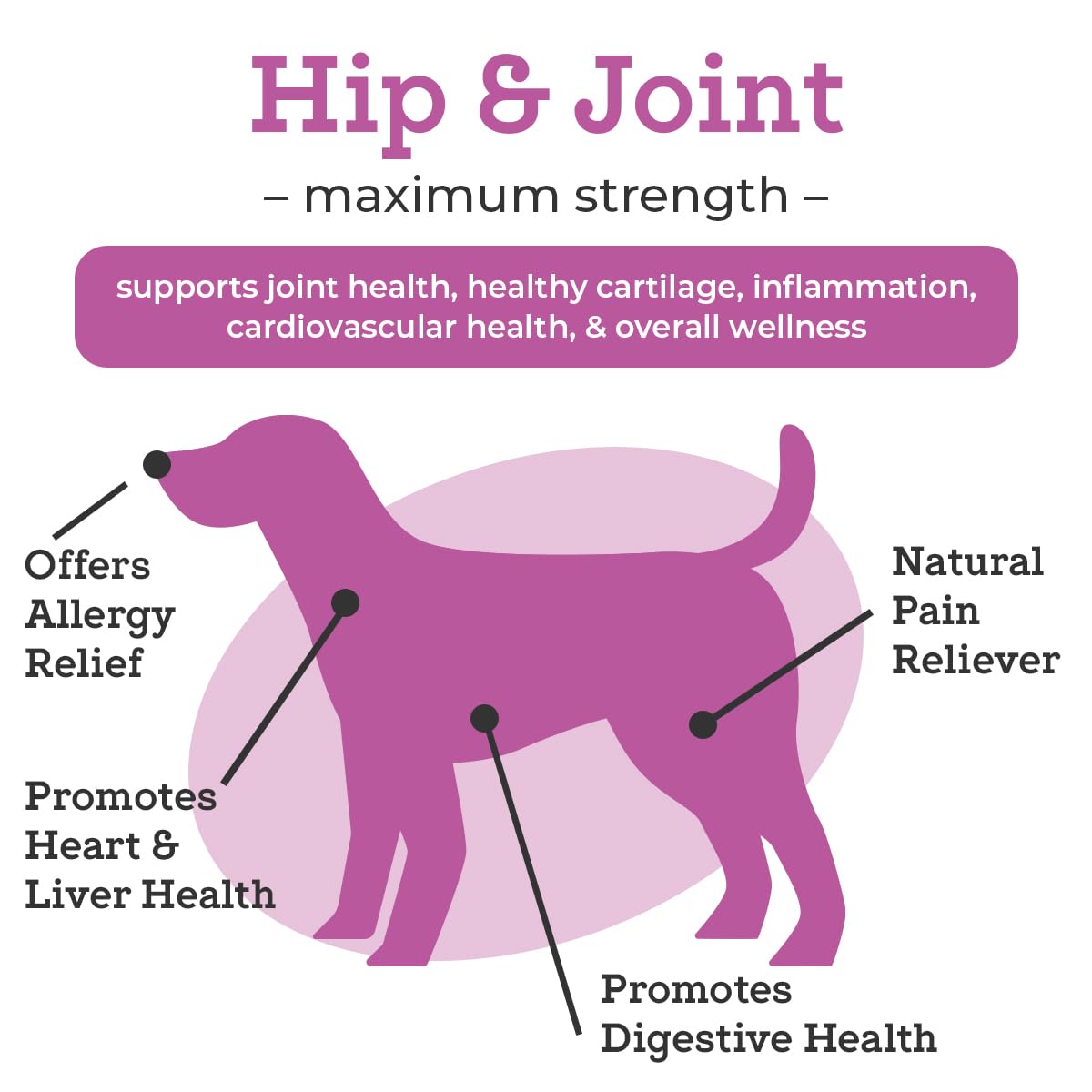 VetPro Dog Hip and Joint Supplement - Pain and Inflammation Relief Chews VetPro Complete buy supplements canada