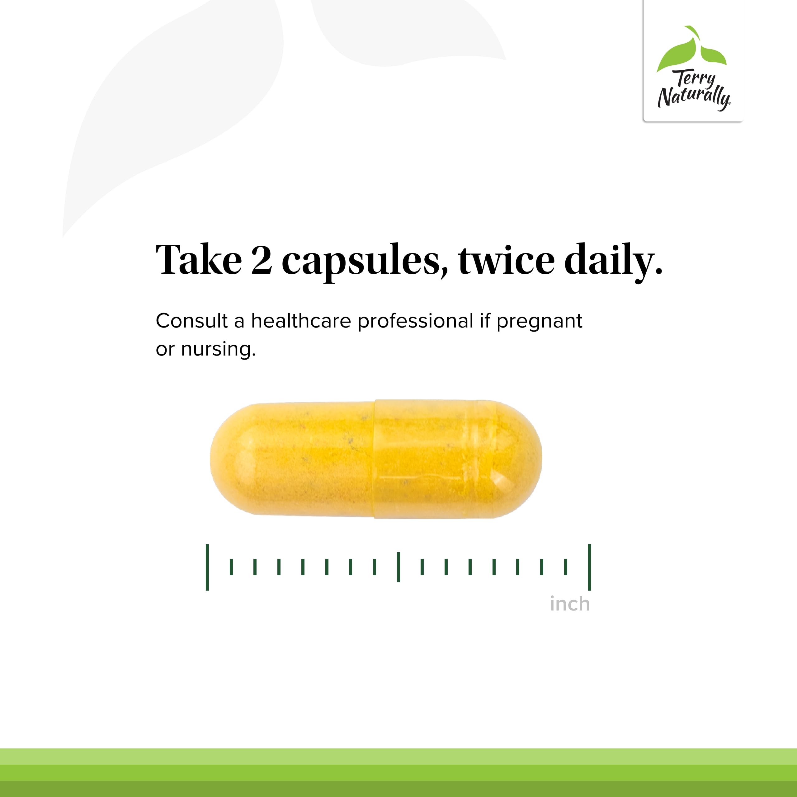 Terry Naturally Healthy Feet & Nerves - Herbal Supplement with Bioactive Vitamin B12 - Circulation & Nerve Health Support Supplement - Vegan Capsules with Boswellia Serrata - 60 Capsules Terry Naturally buy supplements canada
