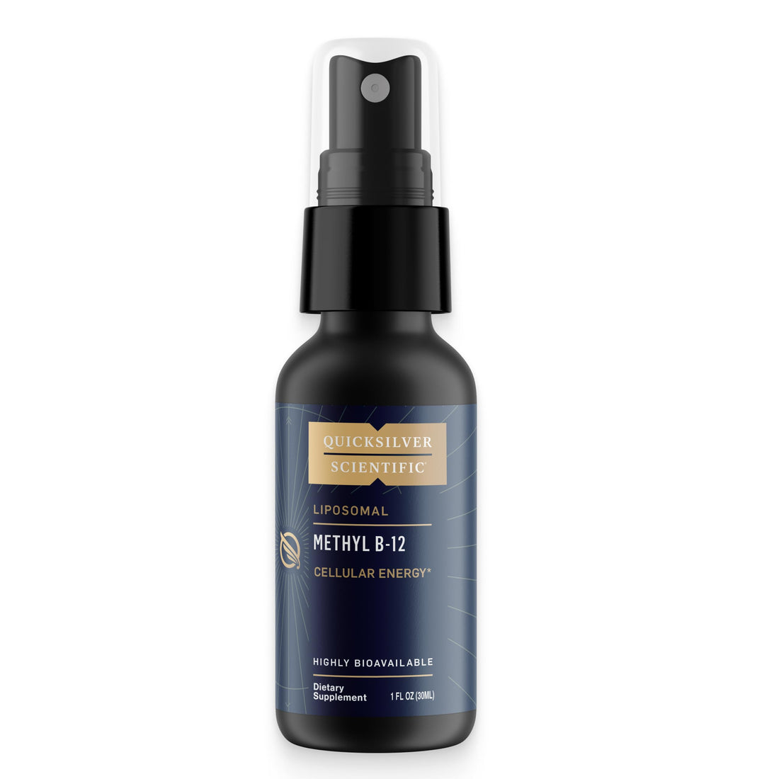 Quicksilver Scientific Methyl B12-1000mcg Vitamin B12 as Methylcobalamin - with Nano Technology for Superior Absorption - Supportive Energy Supplement (30ml / 90 Servings) Quicksilver Scientific buy supplements canada