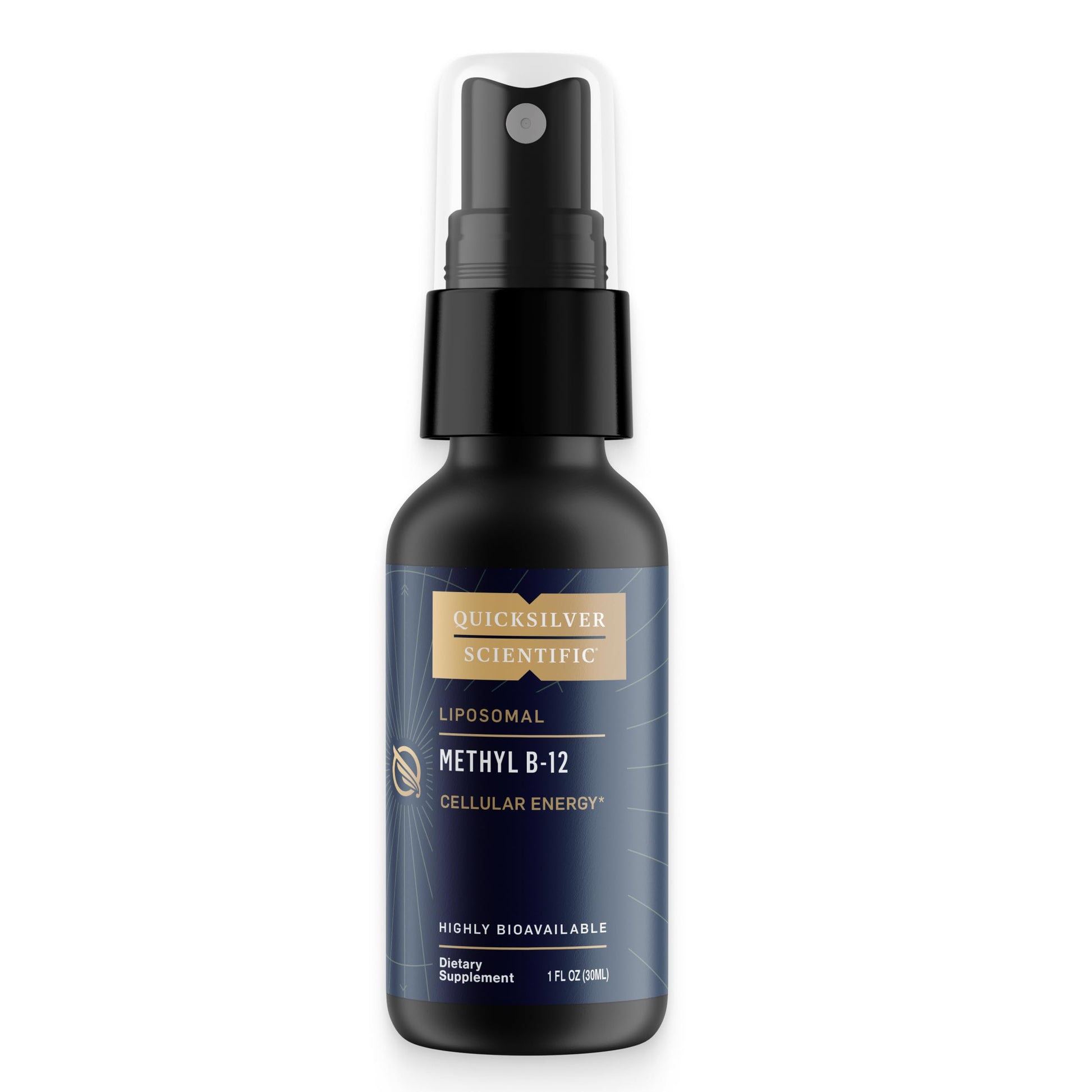 Quicksilver Scientific Methyl B12-1000mcg Vitamin B12 as Methylcobalamin - with Nano Technology for Superior Absorption - Supportive Energy Supplement (30ml / 90 Servings) Quicksilver Scientific buy supplements canada