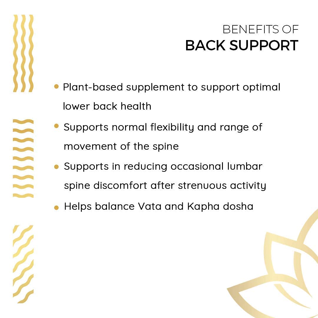 Kerala Ayurveda Back Support Herbal Capsules - Eases Occasional Discomfort of Lower Back & Supports Normal Movement of Spine, 90 Count Kerala Ayurveda buy supplements canada