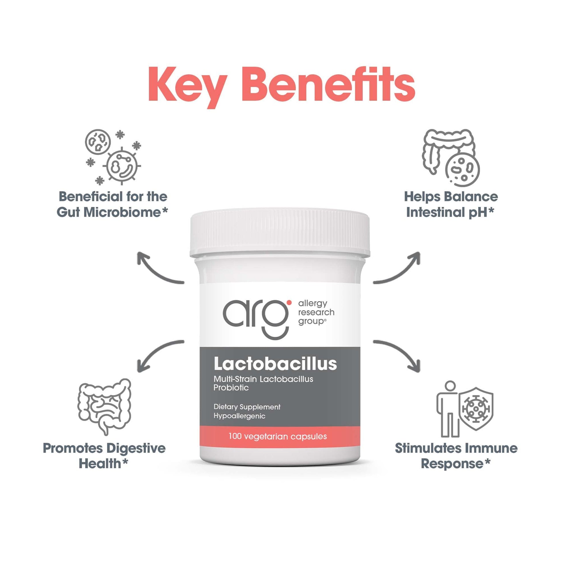 Allergy Research Group Lactobacillus Supplement - Probiotics for Men & Women, Digestive Health, Gut Health, Vegetarian Capsules - 100 Count Allergy Research Group buy supplements canada