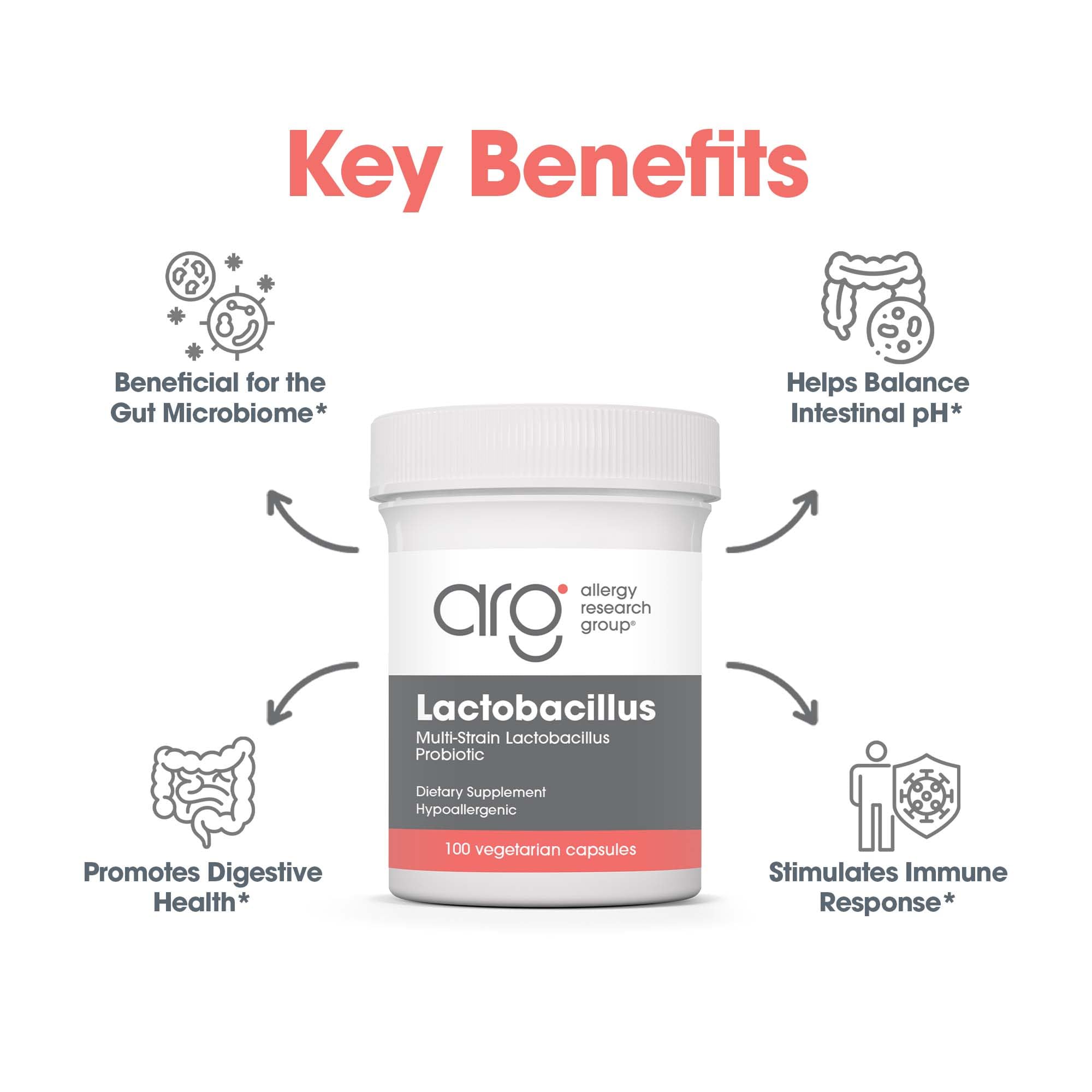 Allergy Research Group Lactobacillus Supplement - Probiotics for Men & Women, Digestive Health, Gut Health, Vegetarian Capsules - 100 Count Allergy Research Group buy supplements canada