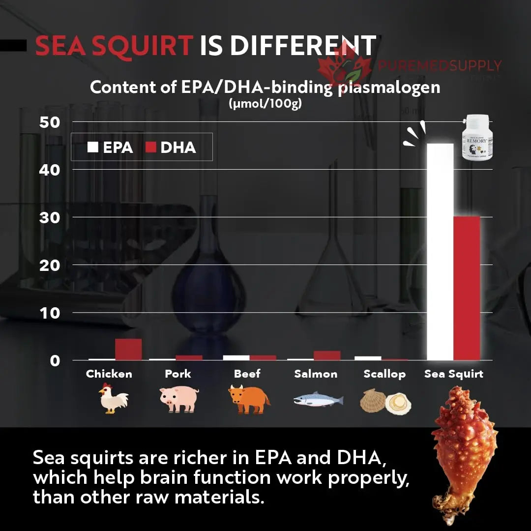 REMORY Plasmalogen Sea Squirt Supplement - Brain Health Supplement - 30 Days Supply REMORY buy supplements canada
