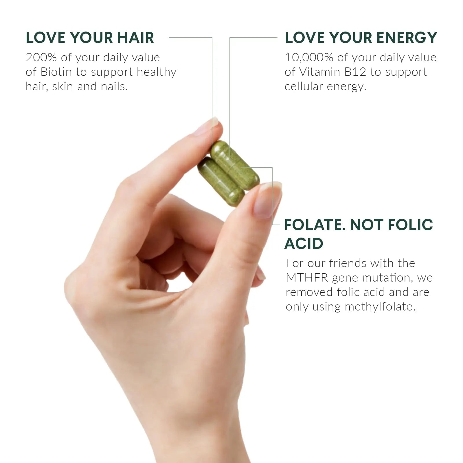 Nutritional Roots Multivitamin+, Award-Winning Plant-Based (Vegan) Multivitamin, Organic Vegetables & Herbs Nutritional Roots buy supplements canada