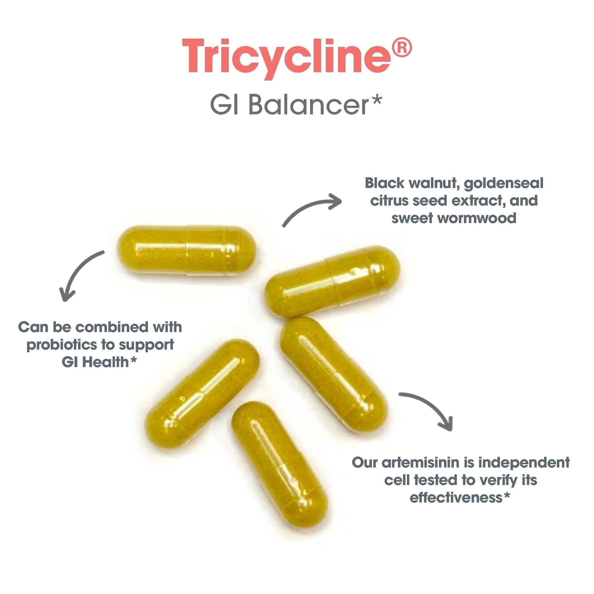 Nutricology TriBiotics - Berberine Artemisinin Botanical Blend - Gastrointestinal Support - Hypoallergenic - 45 Servings - 90 Capsules Allergy Research Group buy supplements canada