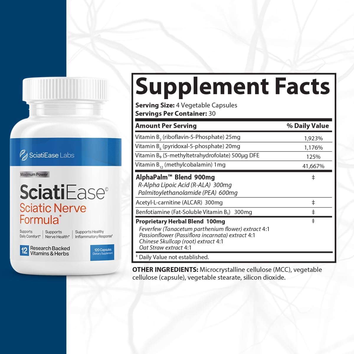SciatiEase Sciatic Nerve Health Support Sciatic Nerve Supplement SciatiEase buy supplements canada