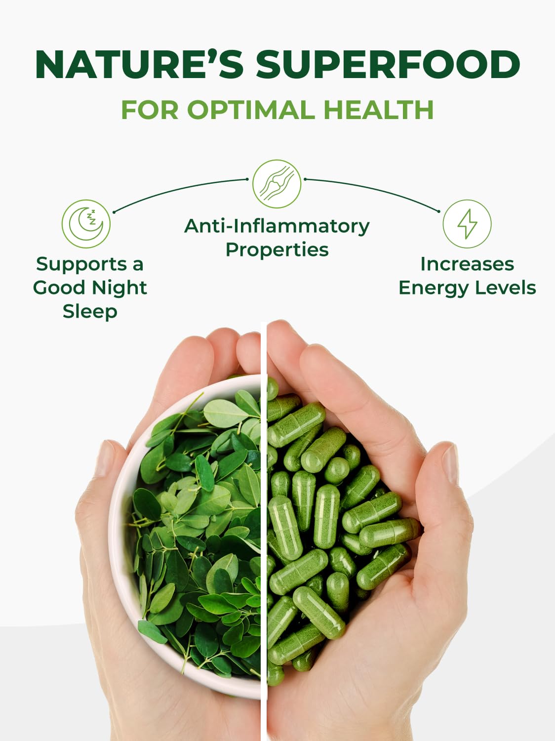 PURA VIDA MORINGA Organic Moringa Capsules, Pure Moringa Leaf Powder Single Origin for Energy, Metabolism & Immune Support Pura Vida Moringa buy supplements canada