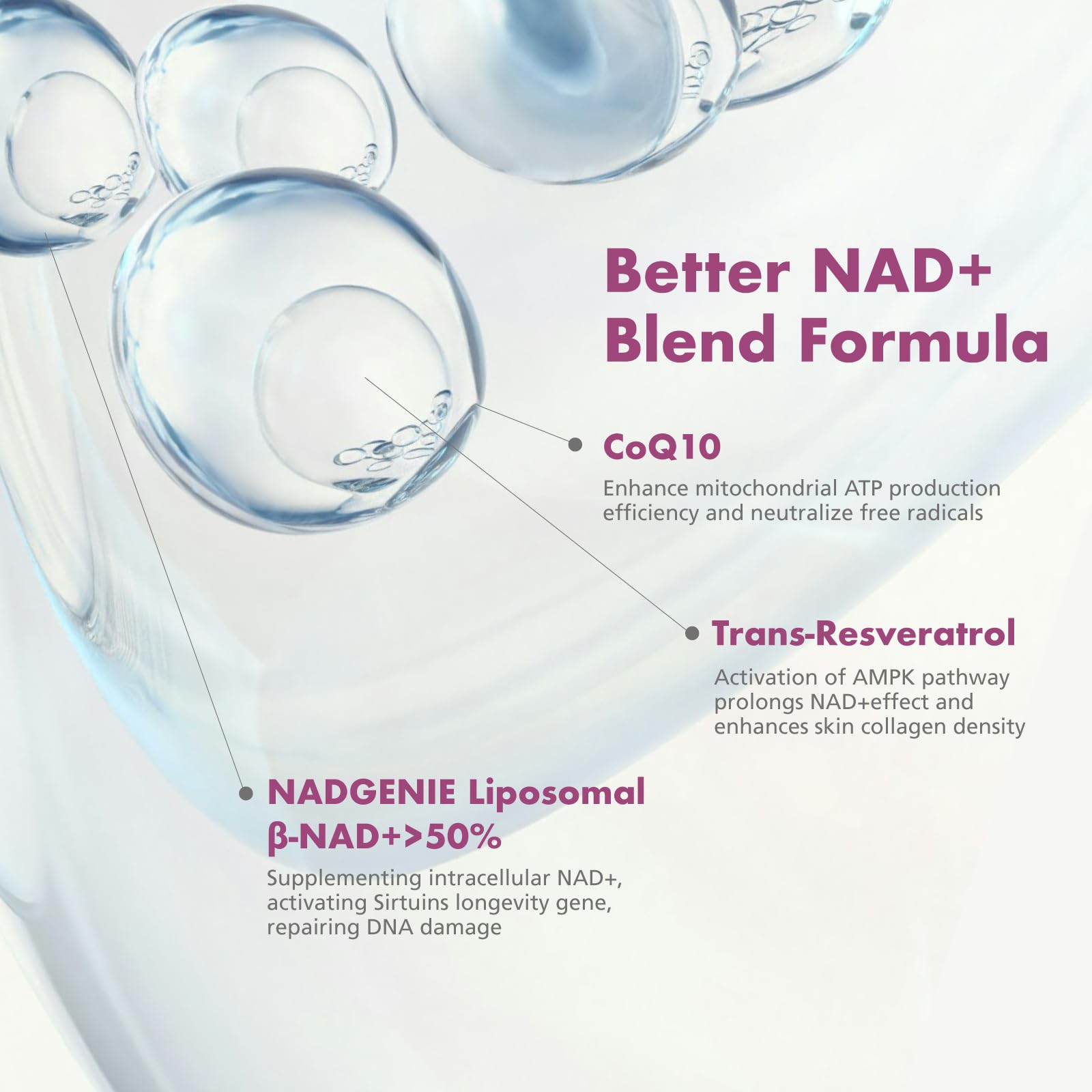 VHC NAD+ Supplement, NMN Alternative Liposomes with CoQ10, Trans-Resveratrol for Women & Men,Support Energy, Anti-Aging,Focus,90 Capsules VHC buy supplements canada