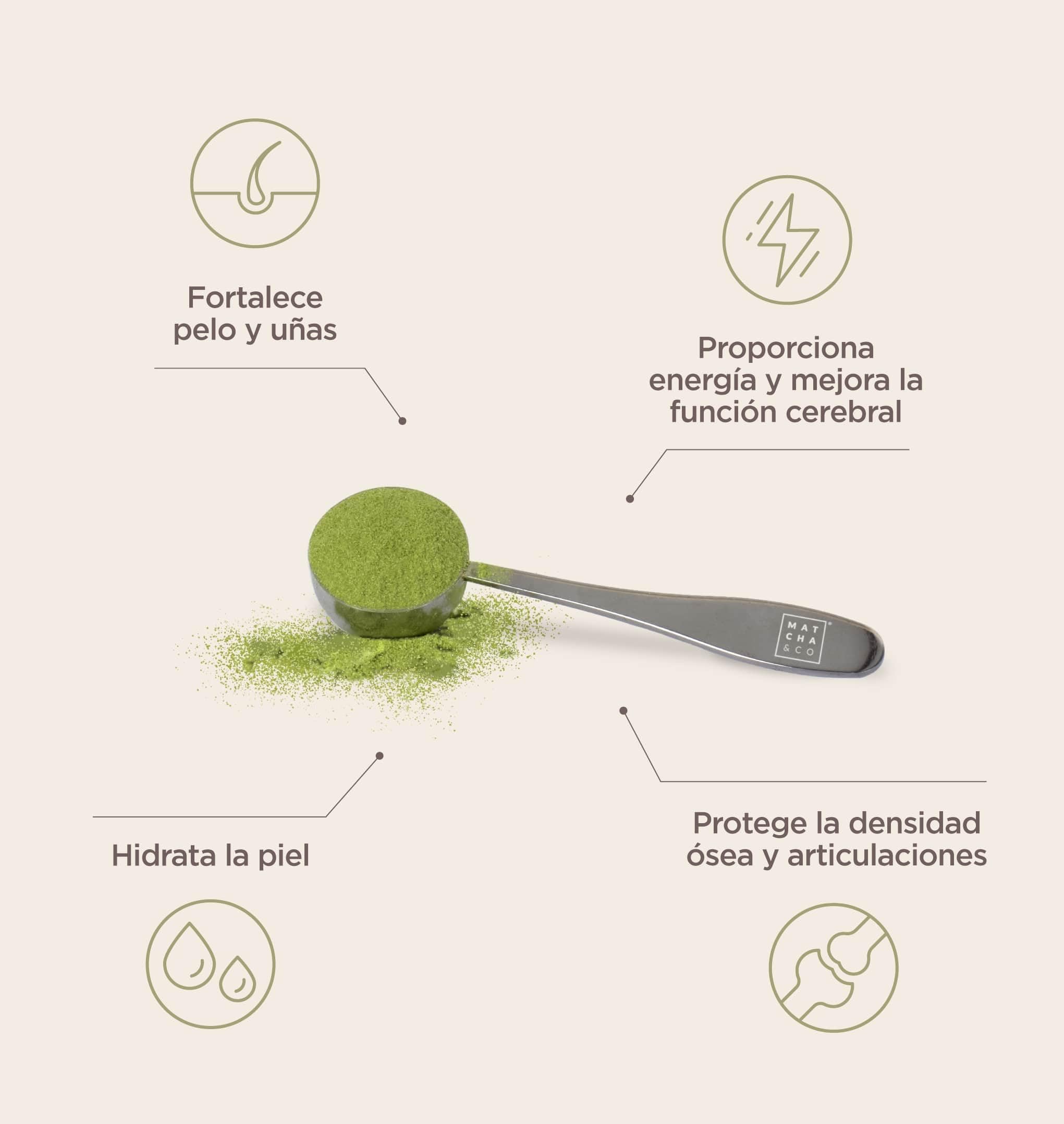 Collagen with Magnesium, Matcha Tea and Hyaluronic Acid. Joints, skin and nails Matcha & CO buy supplements canada