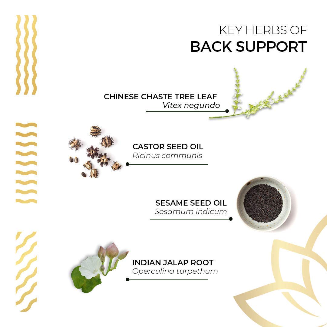 Kerala Ayurveda Back Support Herbal Capsules - Eases Occasional Discomfort of Lower Back & Supports Normal Movement of Spine, 90 Count Kerala Ayurveda buy supplements canada