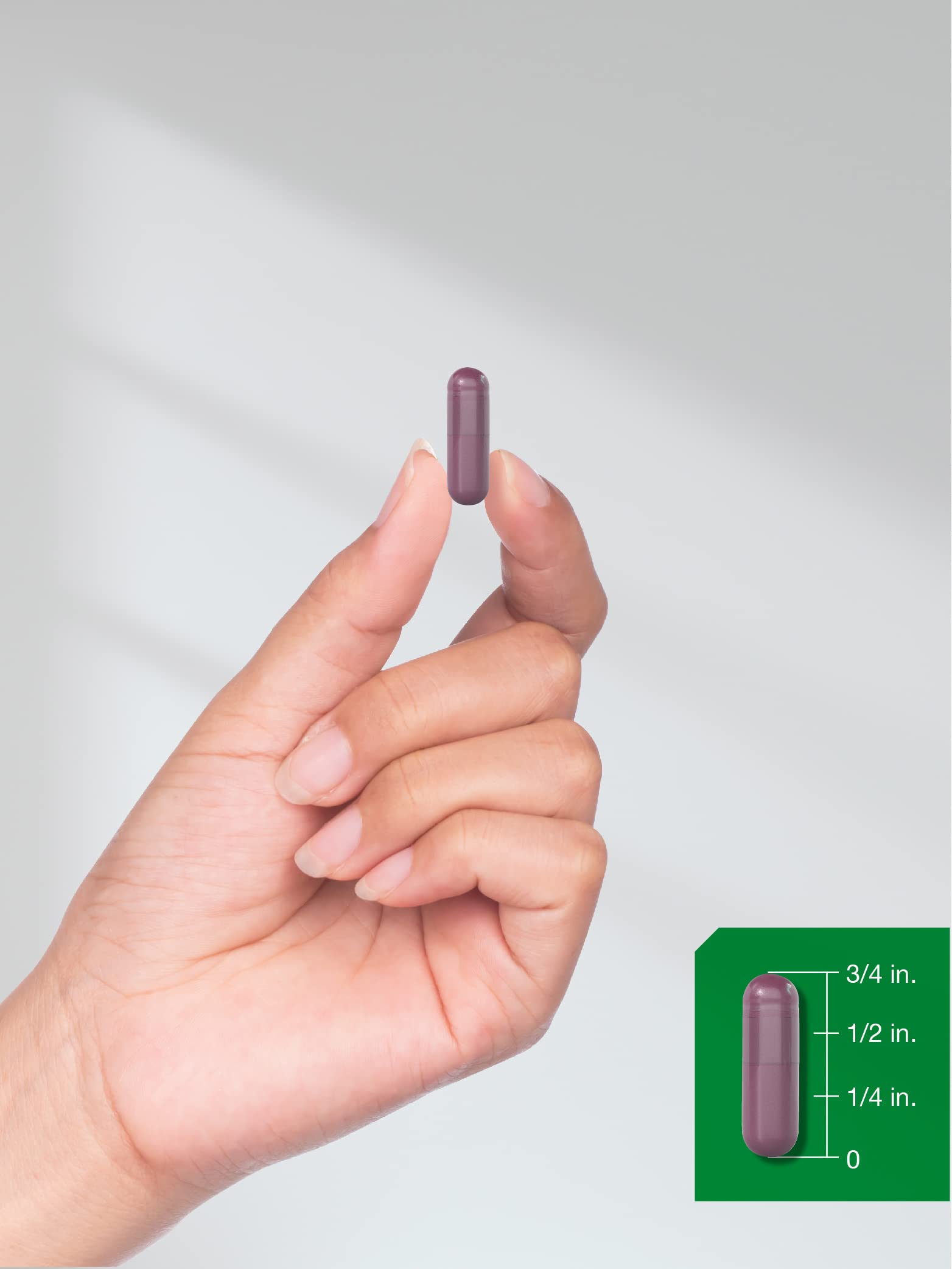 Horbäach Beet Root Powder Capsules | 320 Pills | Non-GMO, Gluten Free Formula | High Potency Herbal Extract Supplement Horbäach buy supplements canada