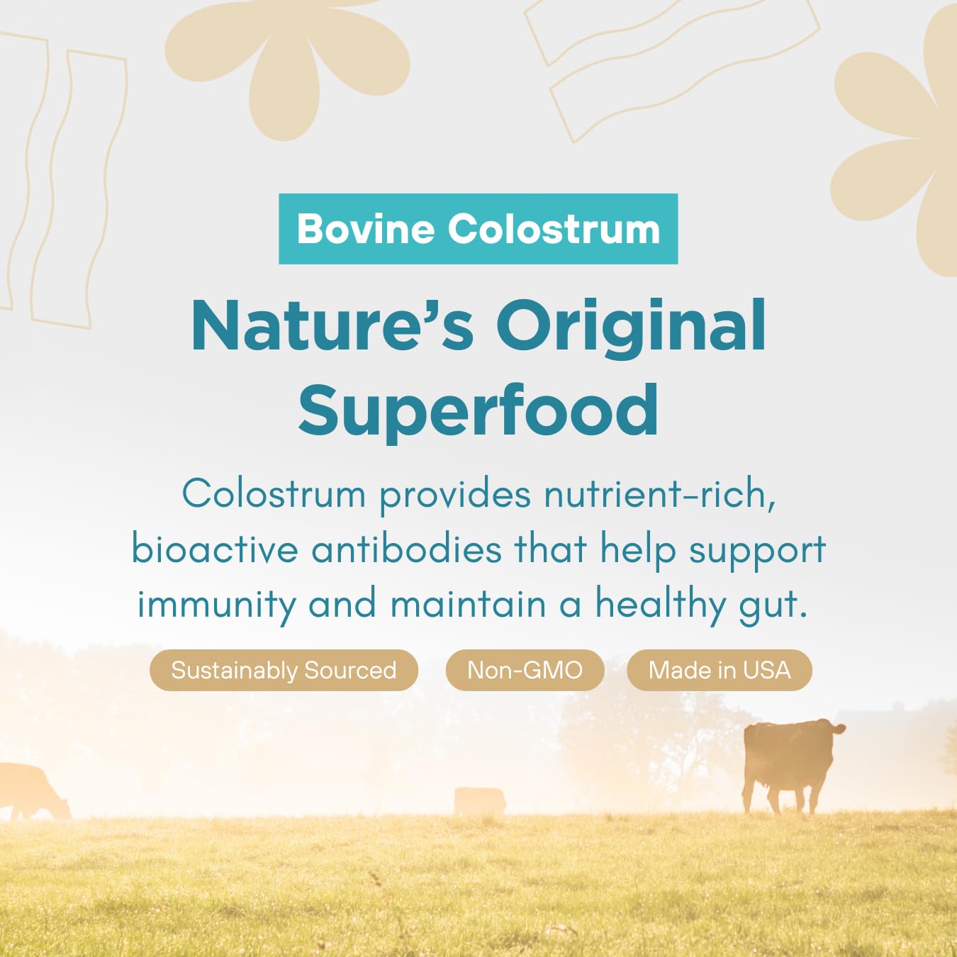 360 Nutrition Blends with Benefits Bovine Colostrum + Collagen Peptides Powder for Gut Health, Hair & Skin Beauty, Immune Support | Grass-Fed, No Added Sugar, Unflavored 6 oz 360 Nutrition buy supplements canada