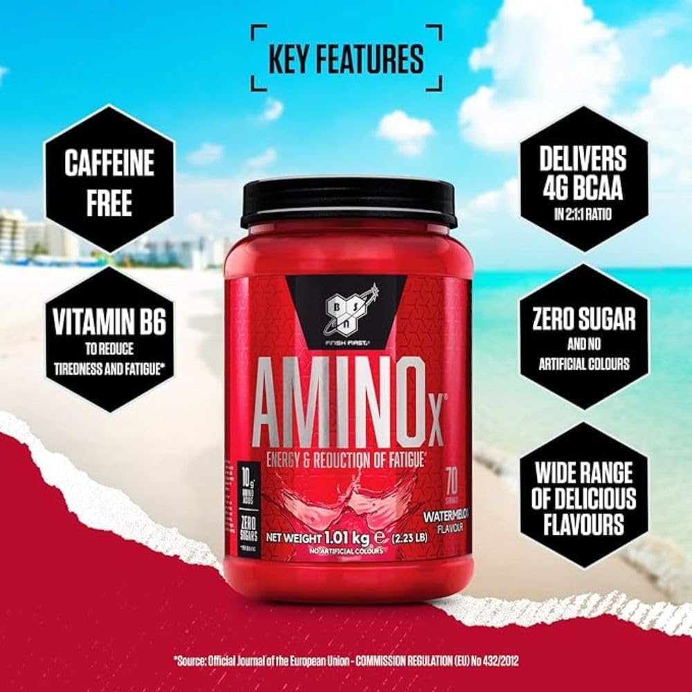 BSN Nutrition Amino X Supplement with Vitamin D, Vitamin B6 and Amino Acids BSN buy supplements canada