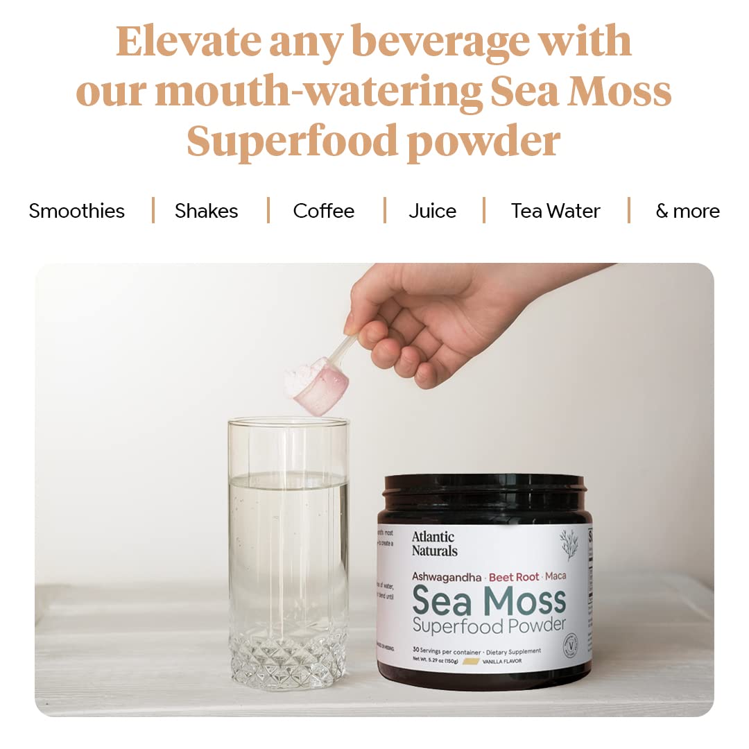 Organic Sea Moss Superfood Powder with Ashwagandha, Beet Root, and Maca Atlantic Naturals buy supplements canada