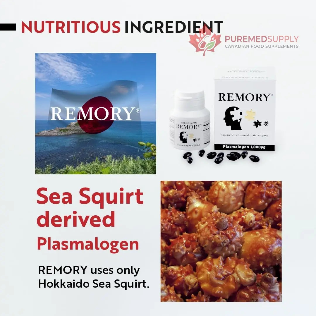 REMORY Plasmalogen Sea Squirt Supplement - Brain Health Supplement - 30 Days Supply REMORY buy supplements canada
