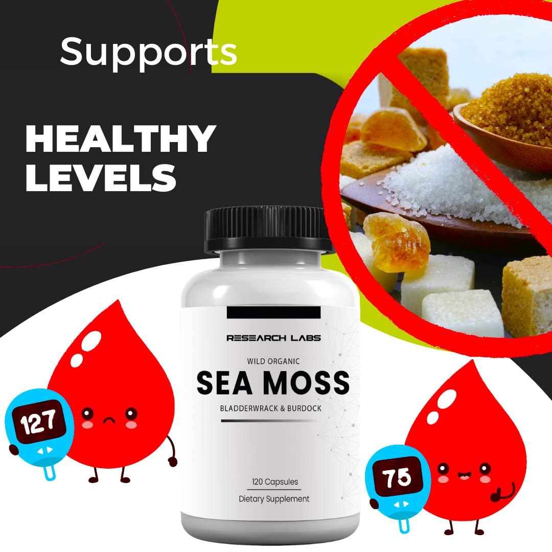 Research Labs 2 Fer 1 Ad Organic Irish Sea Moss Capsules 240 Total Pills, Raw Wildcrafted Seamoss Enhanced w/Bladderwrack & Burdock Root Antioxidant Powerhouse. Thyroid Support Research Labs buy supplements canada