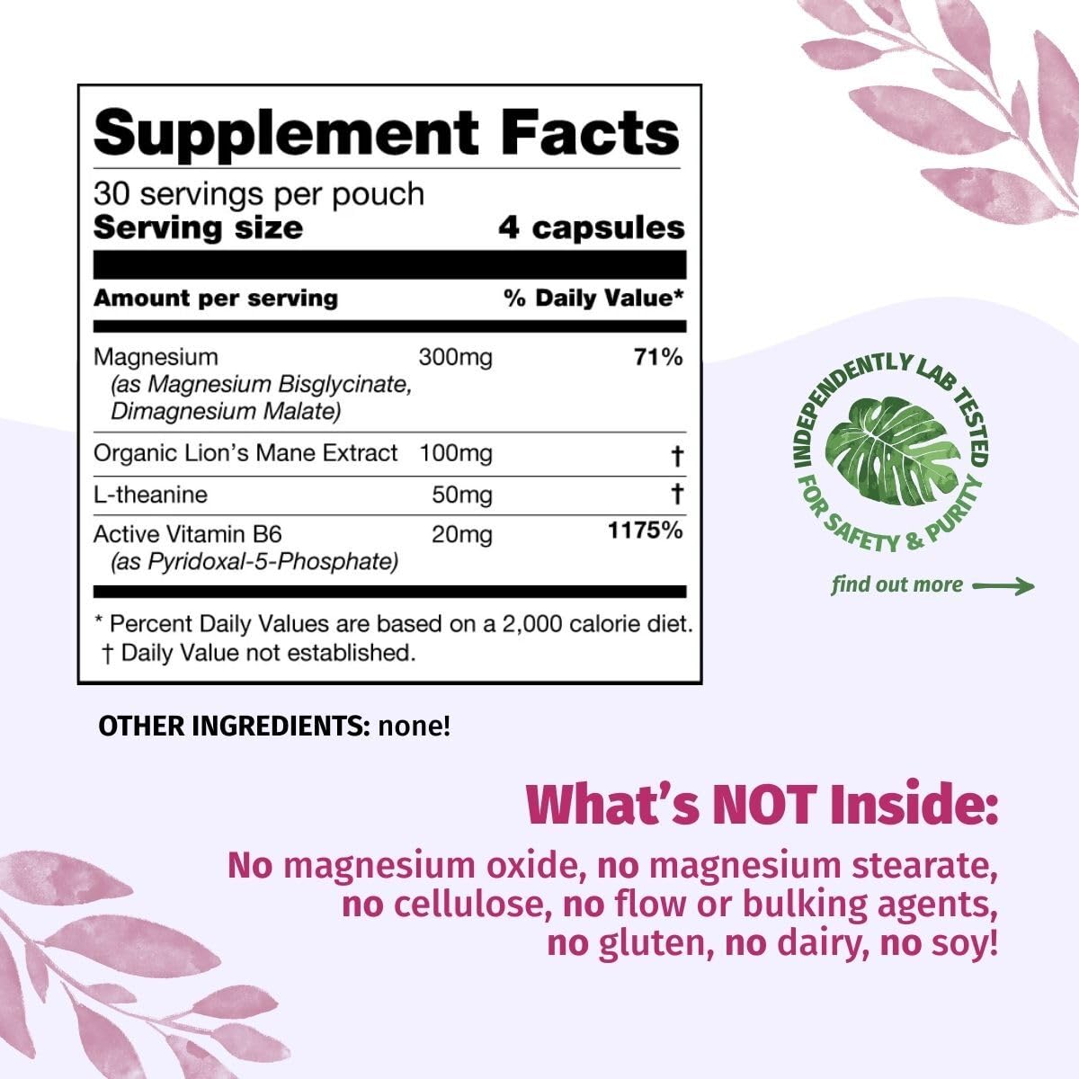 Enhanced Magnesium (Capsules) | Precise 300mg per Serving | Enhancement Blend: Organic Lion's Mane Extract, L-theanine, Active Vitamin B6 | 120 Capsules - by Organic Burst Organic Burst buy supplements canada