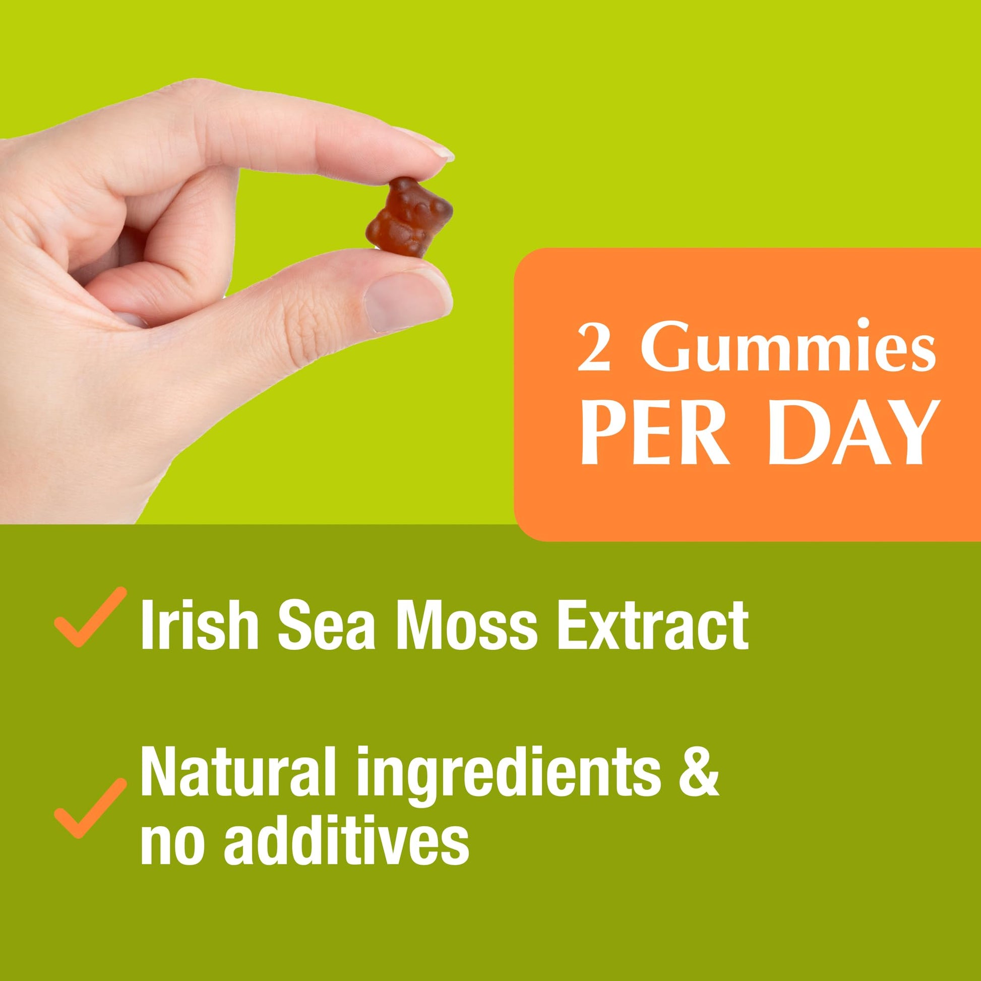 Jiva Botanicals - Irish Sea Moss Gummies with Bladderwrack & Burdock Root 3000mg Jiva Botanicals buy supplements canada