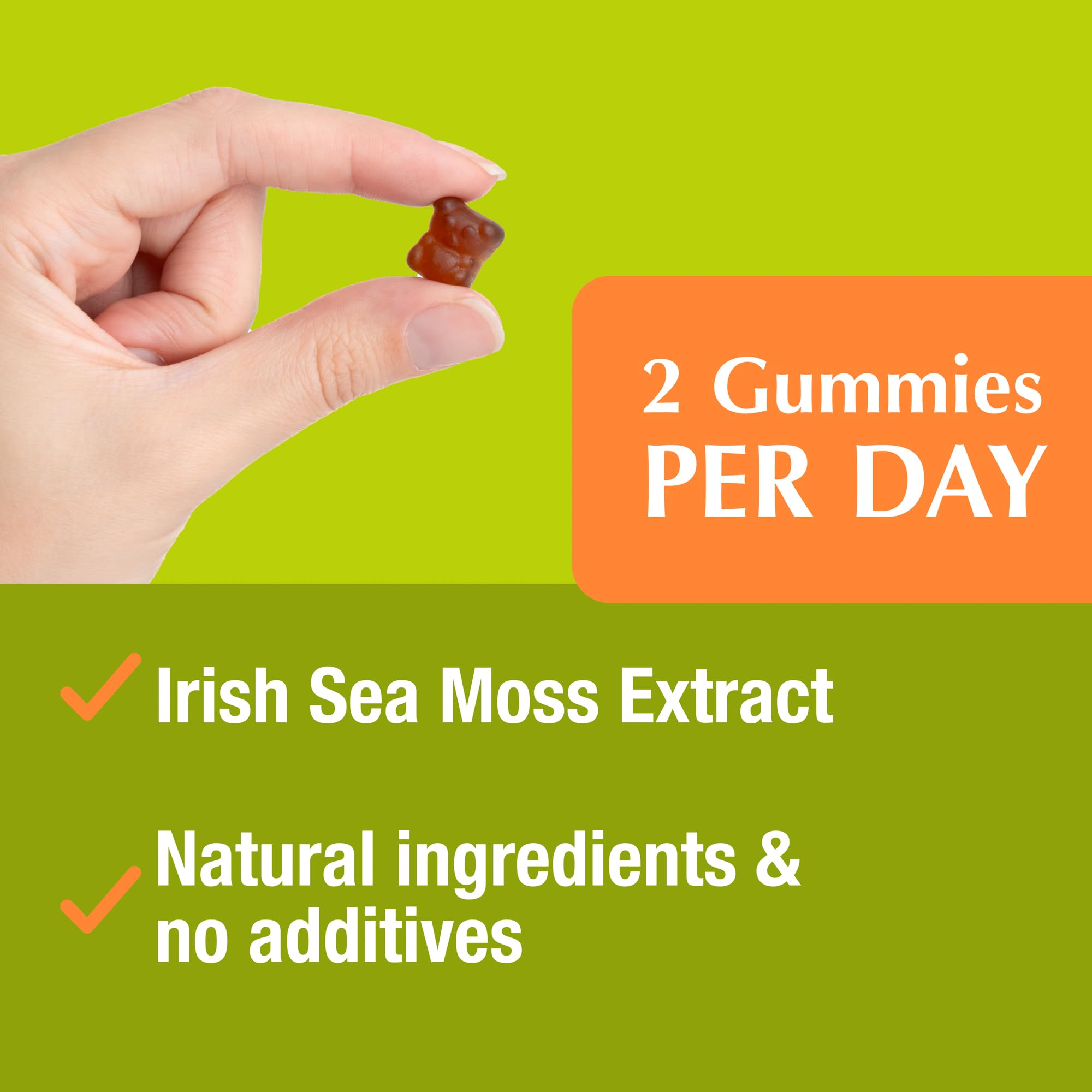 Jiva Botanicals - Irish Sea Moss Gummies with Bladderwrack & Burdock Root 3000mg Jiva Botanicals buy supplements canada