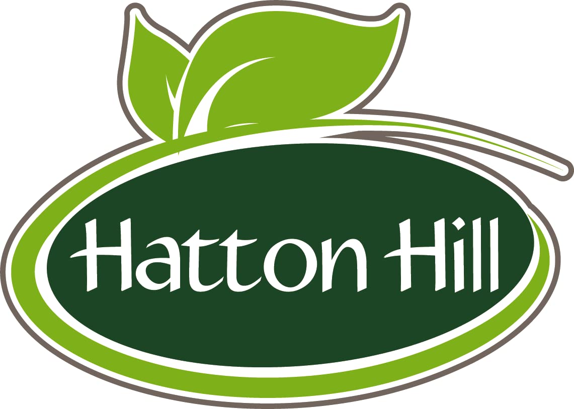 SOYA Protein Isolate (90% Protein) 250g by Hatton Hill, Unflavoured, Vegan Protein Shake Hatton Hill buy supplements canada