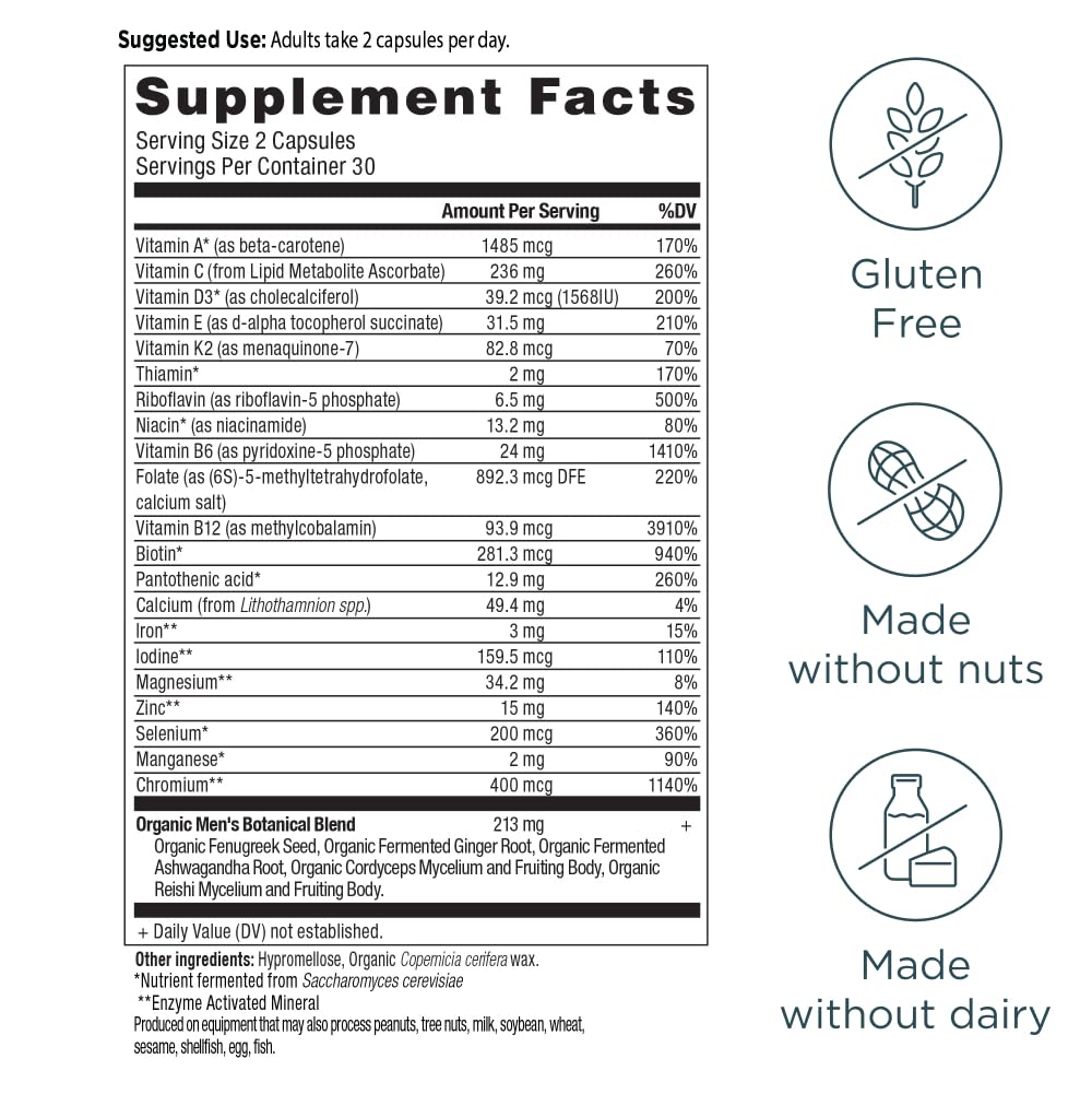Ancient Nutrition Multivitamin for Men, Men's Fermented Multivitamin with Methylated Vitamin A, C, D, E, K, Zinc & Magnesium, Immune Support, Vegan, 60 Ct Ancient Nutrition buy supplements canada