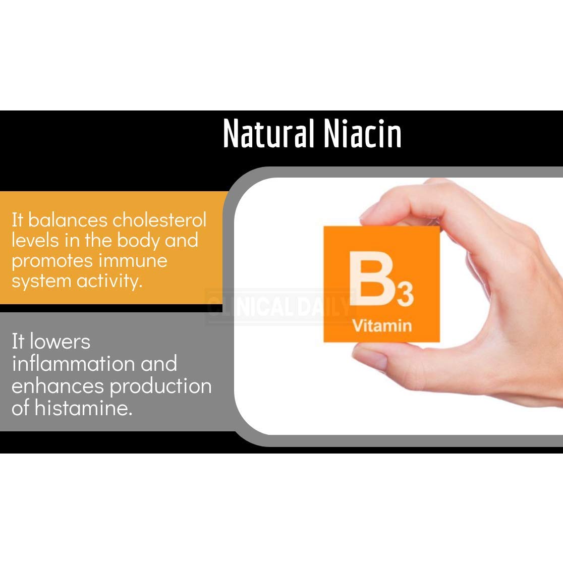 Clinical Daily Blood Circulation Supplements. Butchers Broom, Horse Chestnut, Hawthorn Clinical Daily buy supplements canada