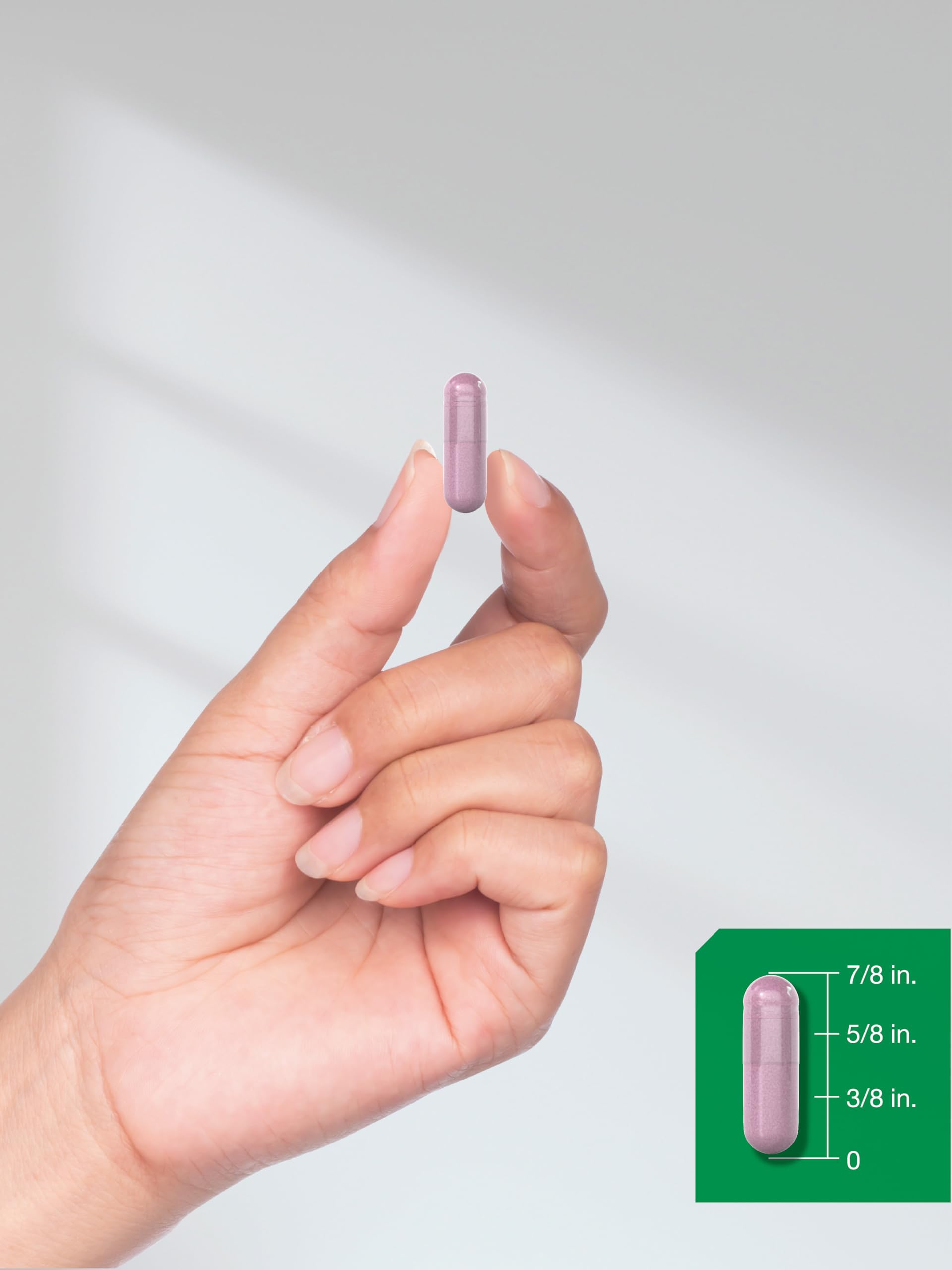 Horbäach Beet Root Powder Capsules | 220 Pills | Herbal Extract | Non-GMO, Gluten Free Supplement Horbäach buy supplements canada