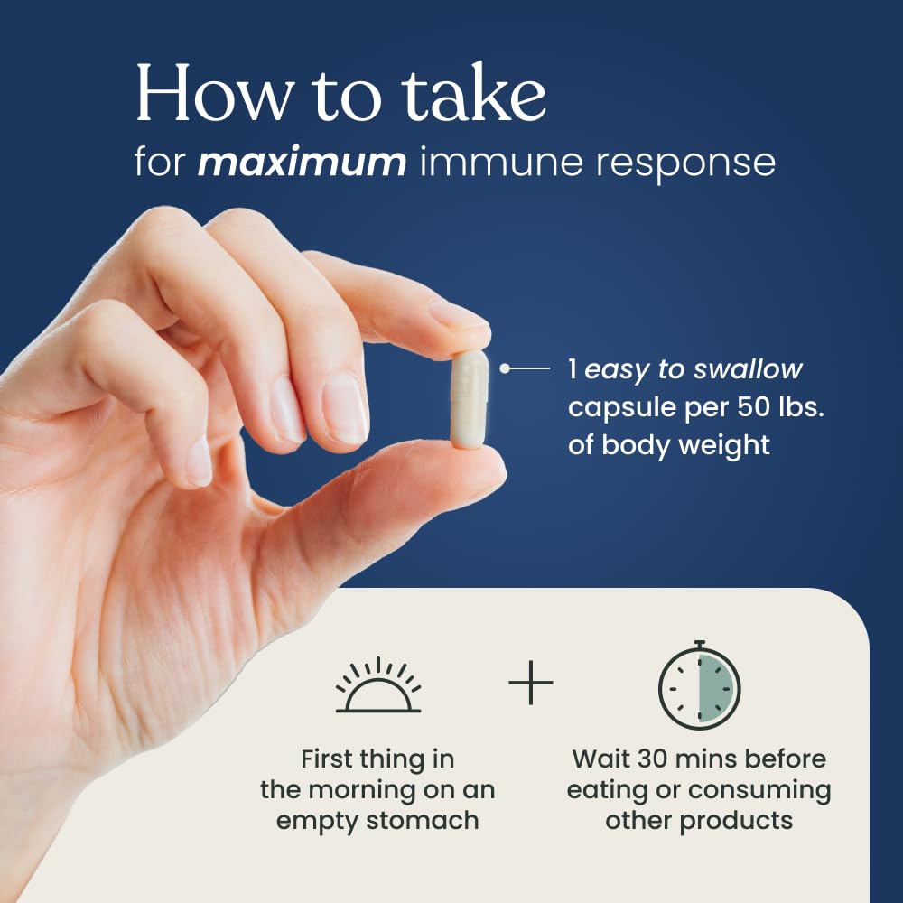 Better Way Health™ - Advanced Immune Readiness - Highly Purified 1,3/1,6 Beta Glucan 500 - Clinically Tested Immune Defense - 500mg/60 Capsules (Pack of 1) Better Way Health buy supplements canada