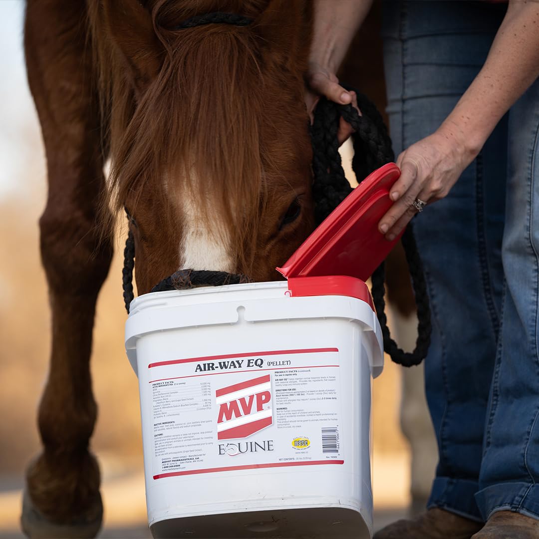 MVP Air-Way EQ Supports Healthy Lung Function and Seasonal Allergy Support in Horses, 5lb - 40 Servings MVP buy supplements canada