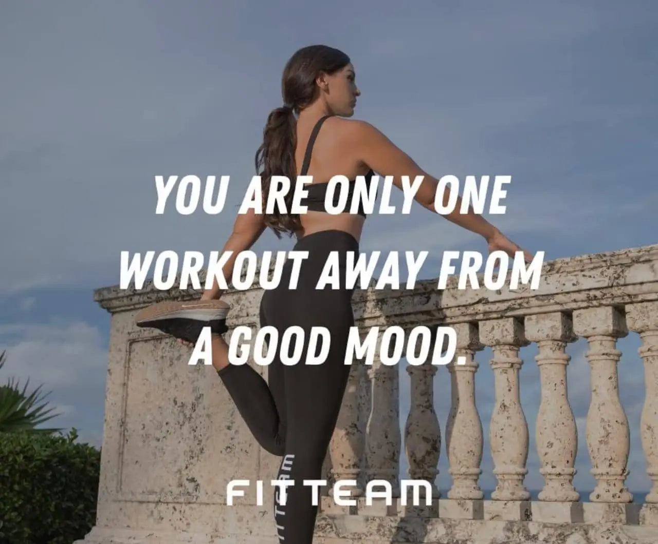 Fitteam Fit 30 Individual Sticks (30 Day Supply) New Improved Formula Fitteam buy supplements canada