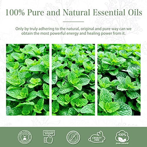 PHATOIL Spearmint Essential Oil 100ML, Pure Premium Grade Spearmint Essential Oils PHATOIL buy supplements canada