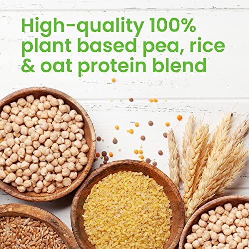 VPlab Vegan Protein Powder 500g - 16 Servings, 100% Plant Based and Natural Vegan Protein Shake vplab nutrition buy supplements canada