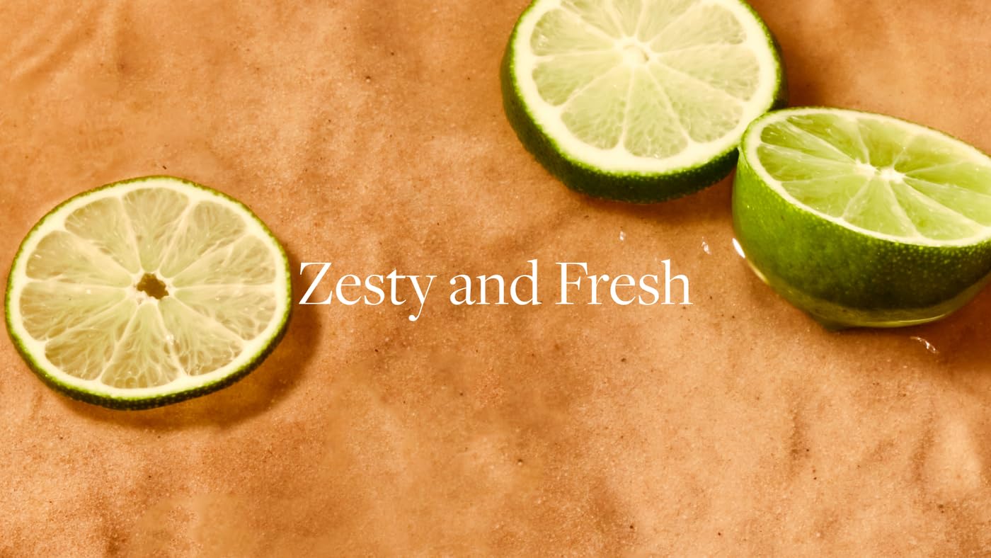 Aera Mini Skylar Lime Sands Home Fragrance Scent Refill - Notes of Lime and Sea Salt - Works AERA buy supplements canada