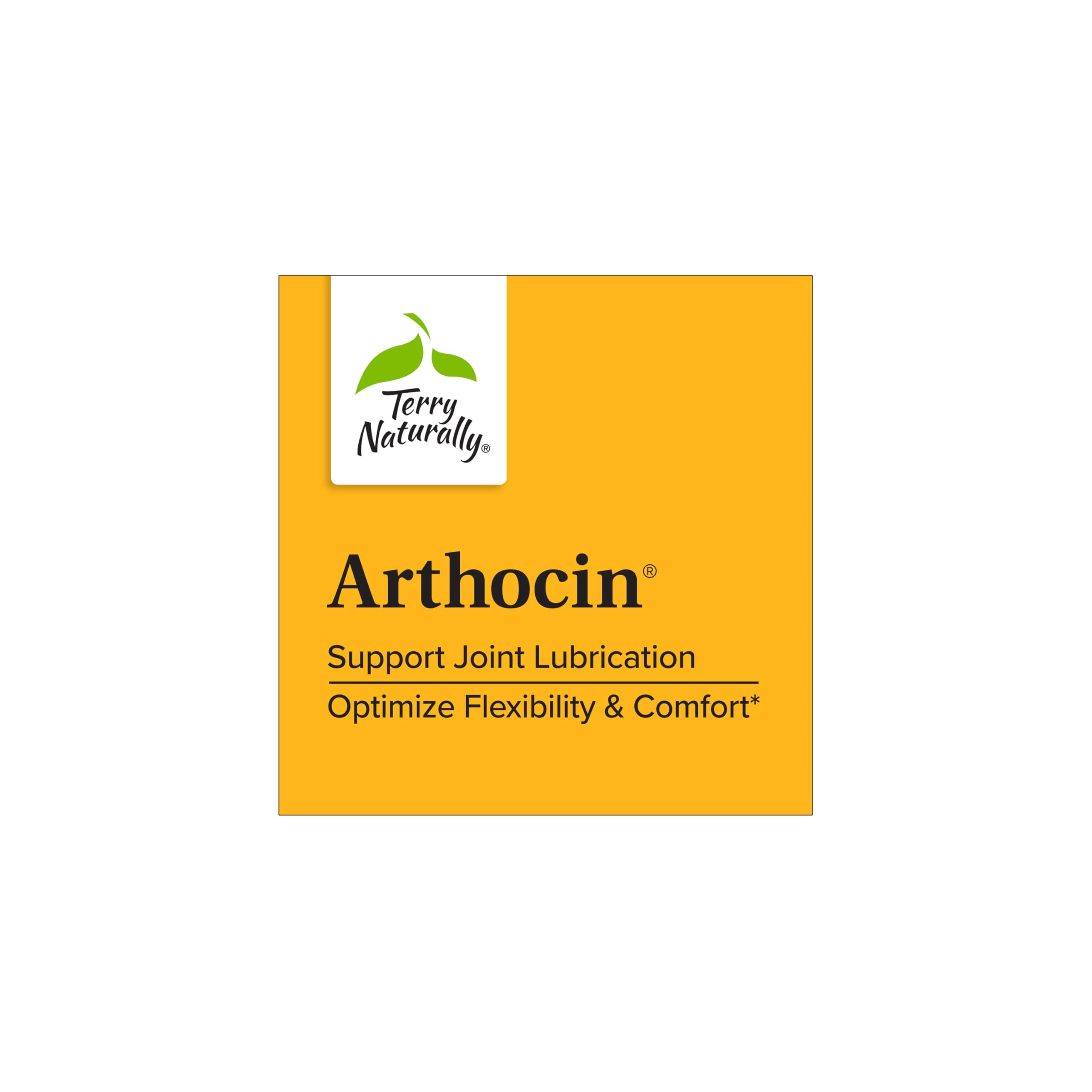 Terry Naturally Arthocin - Boswellia Serrata Capsules with Devil's Claw & Curcumin - Supplement to Support Joint & Spine Health - Herbal Supplement Aids Comfort & Absorption - 60 Capsules Terry Naturally buy supplements canada